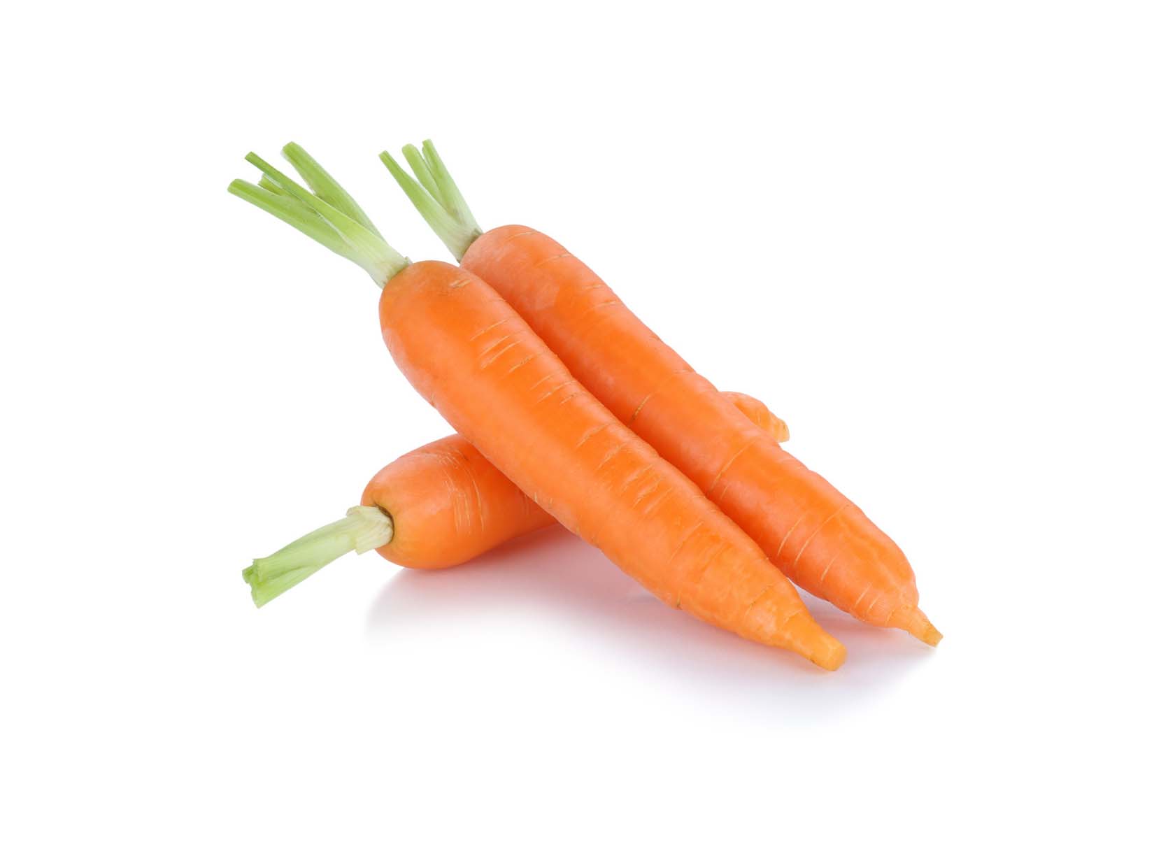 Carrot