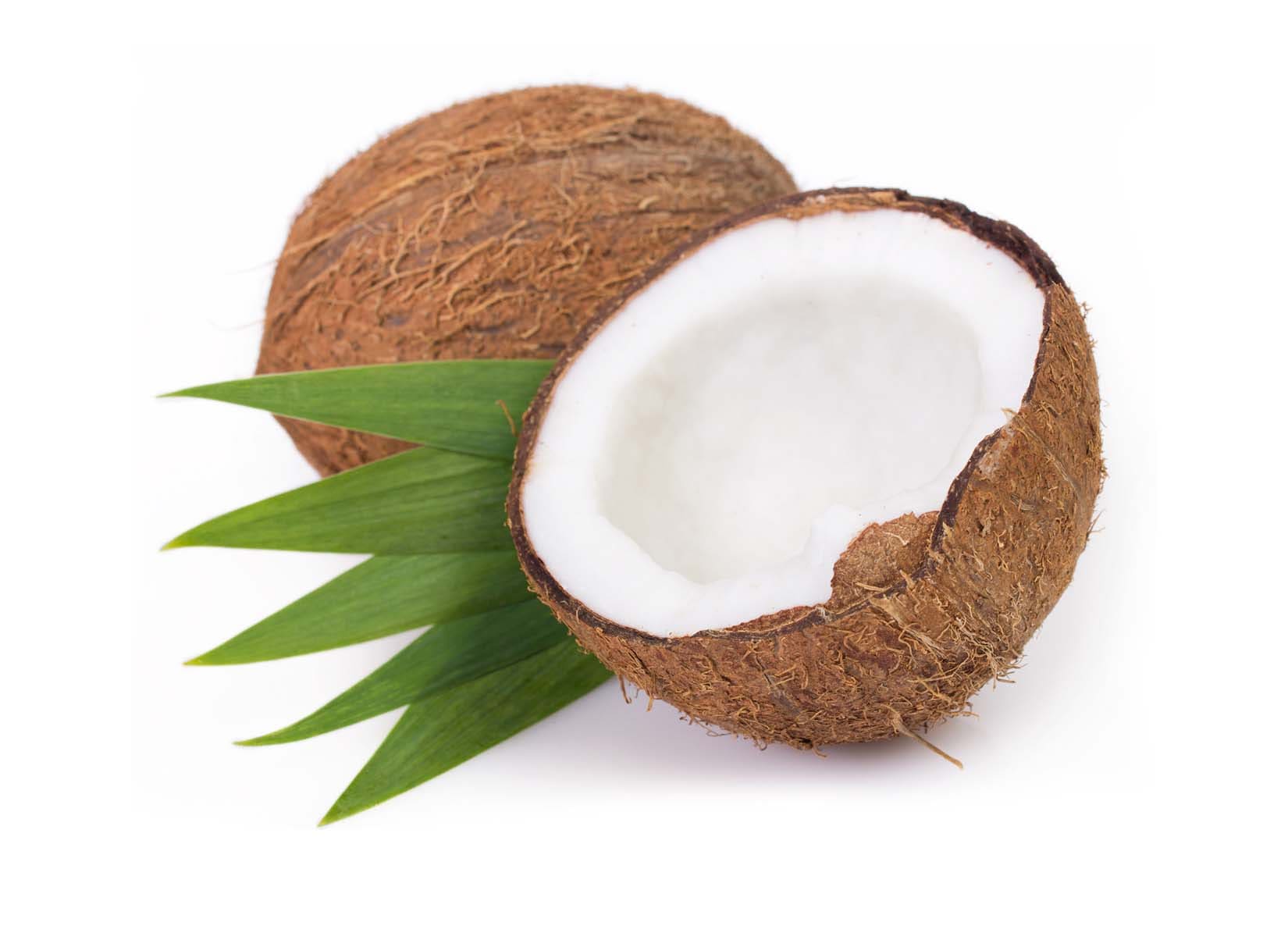 coconut