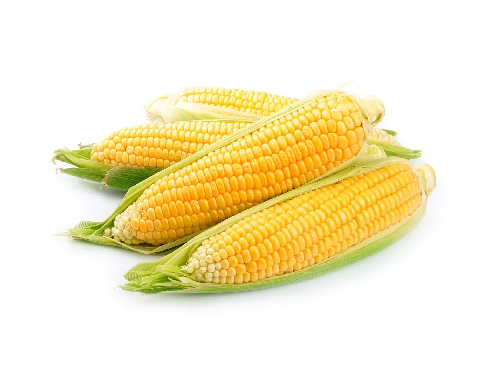 corn