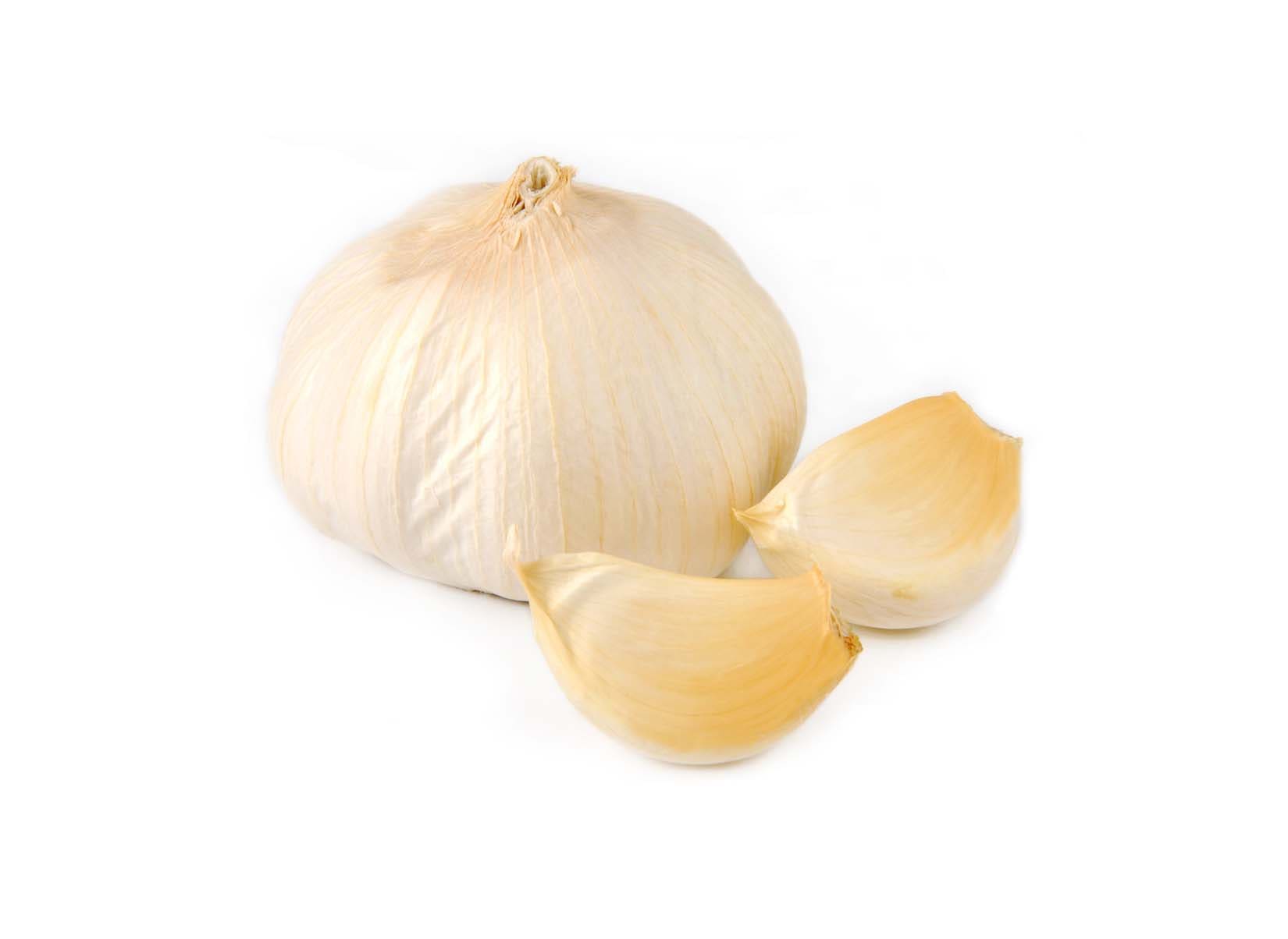 garlic