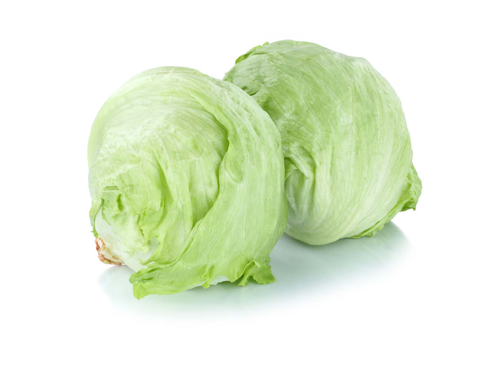 lettuce