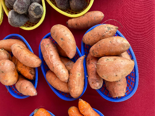Sweet Potatoes